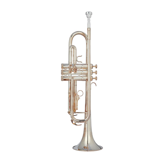 Trompeta Plateada Ayson + Estuche