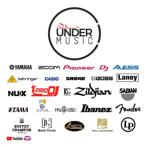 Juego Encordado 4 Cuerdas Para Violin D'addario J810 4/4m