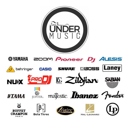 Luz Profesional Audioritmica Pl18 Party Prodj Lighting