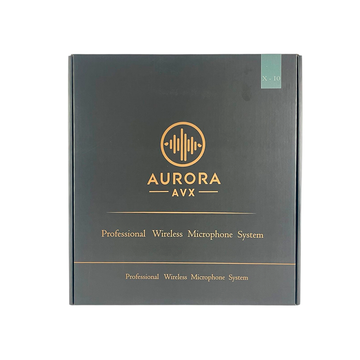 Microfono Inalambrico Profesional Recargable Aurora X-10