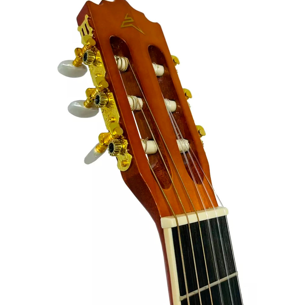 Guitarra Electroacústica Ayson Cl4002e