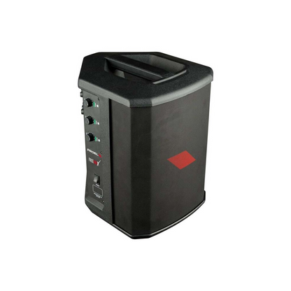 Sistema De Audio Portátil Proel Freeonex Con Bluetooth
