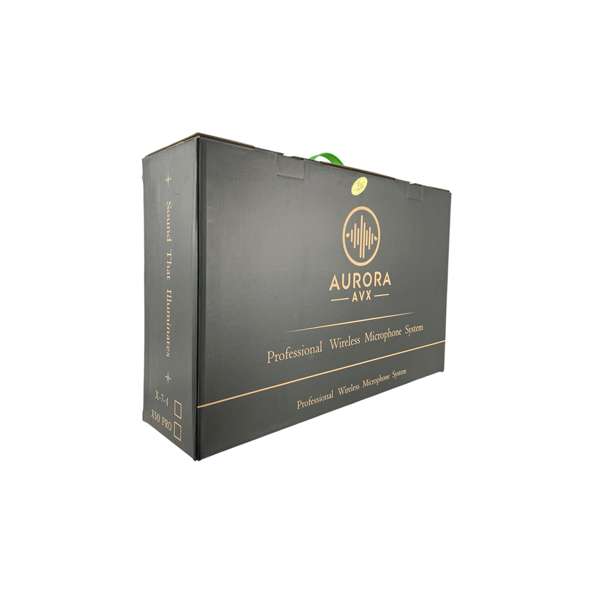 Kit Microfono Doble Inalambrico Profesional AURORA X-50 PRO