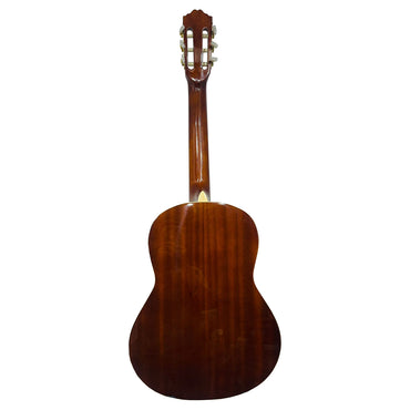 Guitarra Electroacústica Ayson Cl3905e