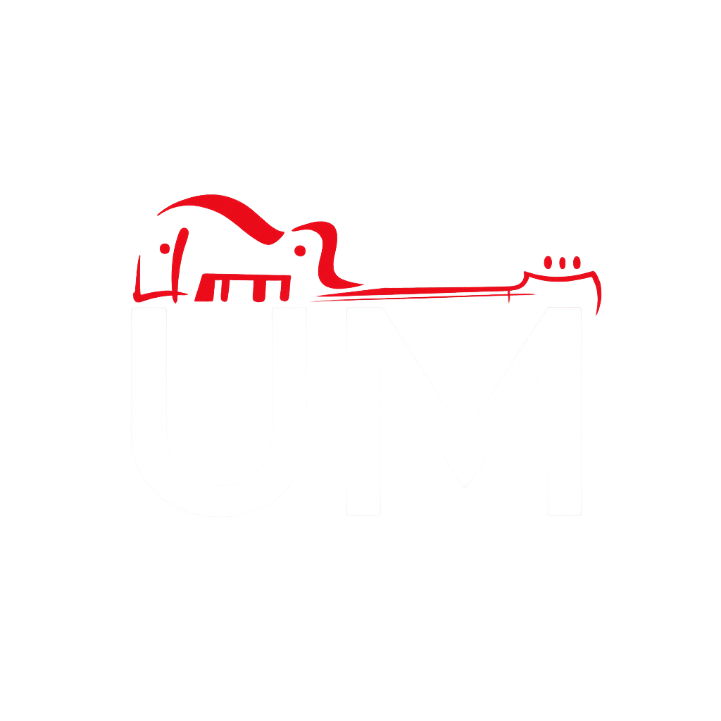 Undermusic SAS