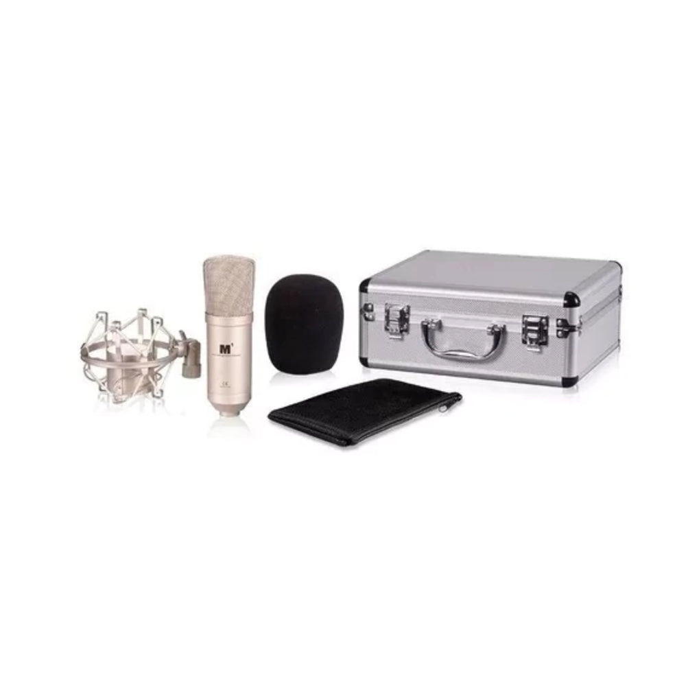 Microfono De Condensador Icon M1 Profesional De Diafragma