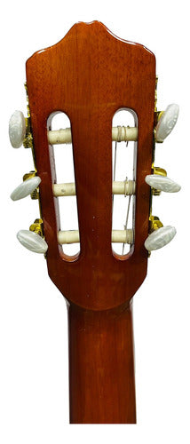 Guitarra Electroacústica Deviser L320eq
