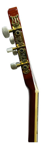 Guitarra Electroacústica Deviser L320eq