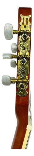 Guitarra Electroacústica Deviser L320eq
