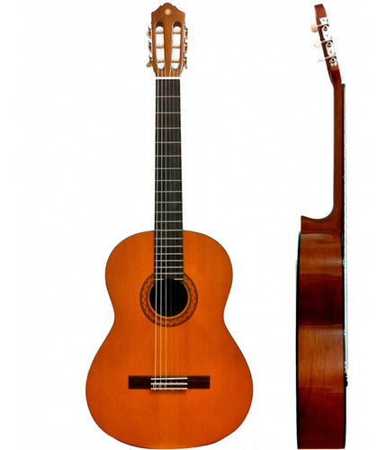 Guitarra Acustica Yamaha C40 + Estuche