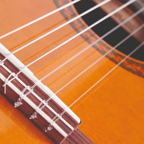 Guitarra Acustica Yamaha C70 + Estuche Semiduro