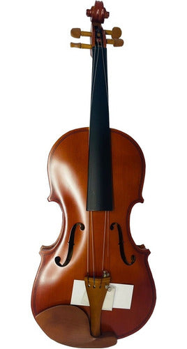 Violín Greko Semi Profesional 4/4 Vb401 Estuche-arco-colofo