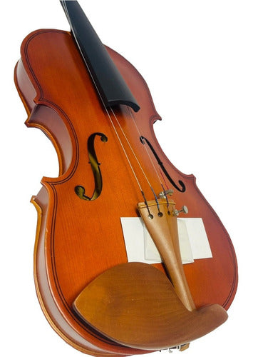 Violín Greko Semi Profesional 4/4 Vb401 Estuche-arco-colofo