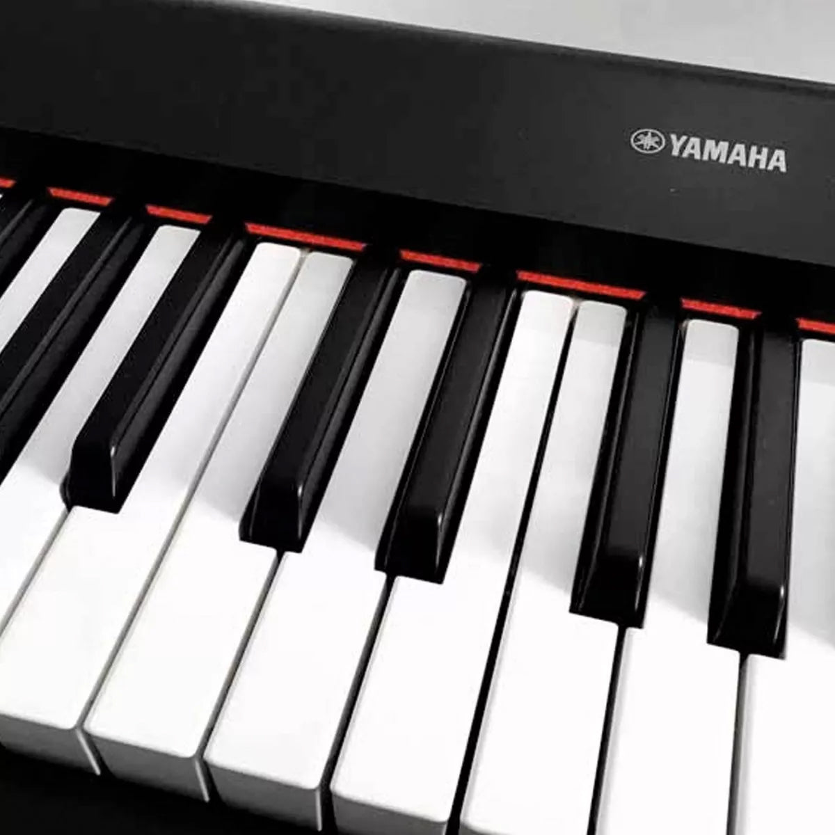 Piano Electronico Yamaha Np-32b Con Base