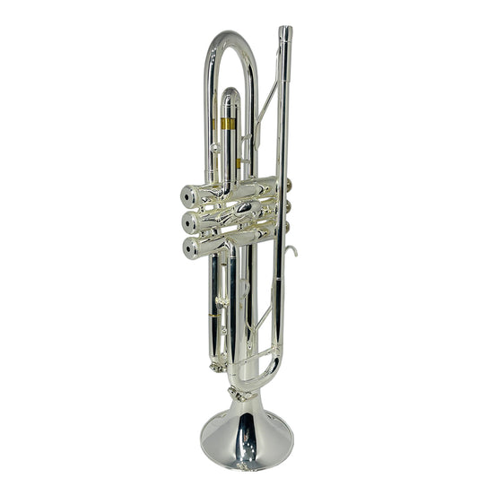Trompeta Plateada Ayson + Estuche