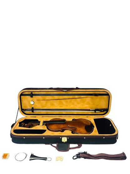 Violín Profesional V05zn Greko 4/4 + Arco + Estuche