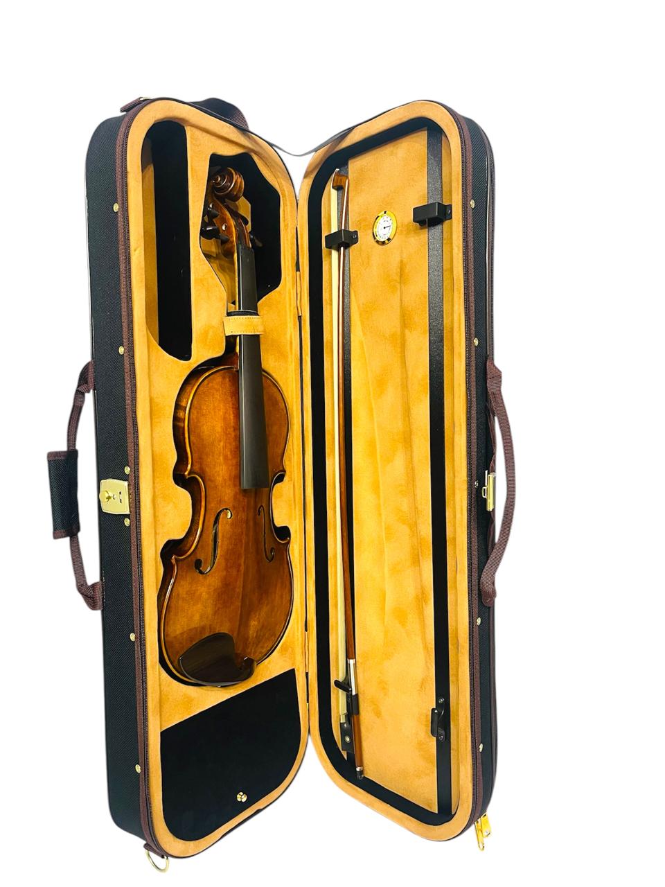 Violín Profesional V05zn Greko 4/4 + Arco + Estuche