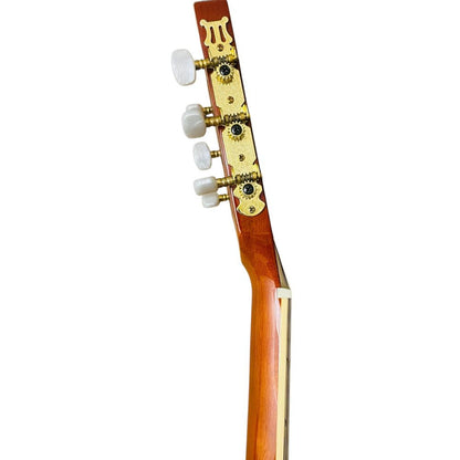 Guitarra Electroacústica Deviser L320eq