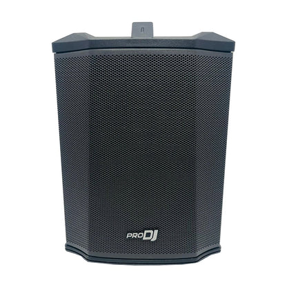 Parlante Cabina Pro Dj P1go-b Con Estuche Con Bluetooth