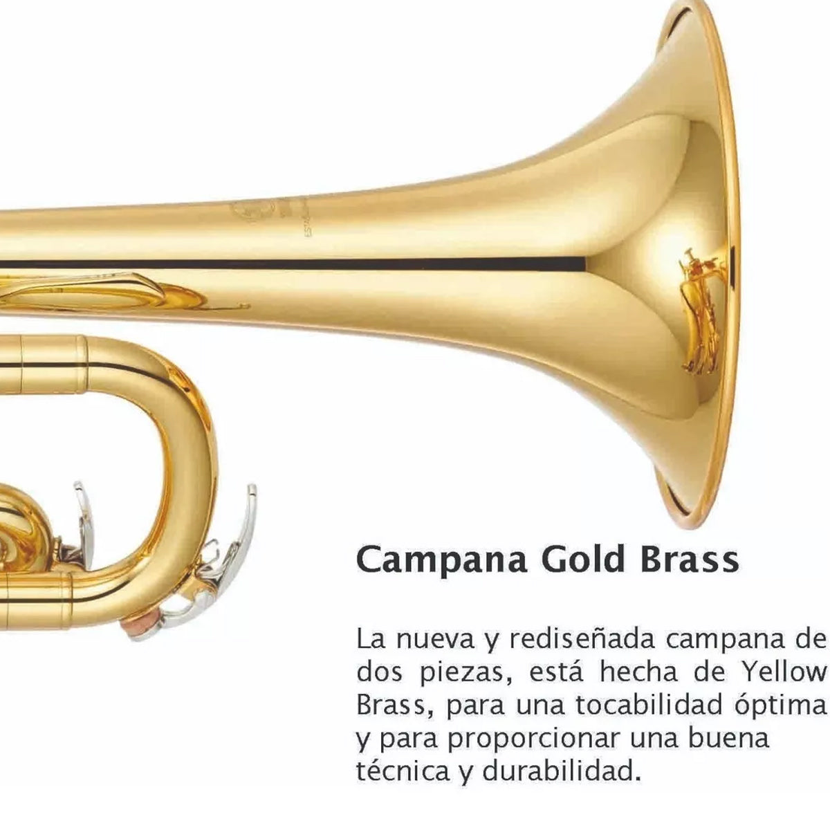 Trompeta Doarada Yamaha Ytr2330