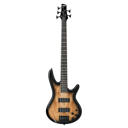 Ibanez GSR205SM-NGT Natural Gray Burst, vista frontal completa